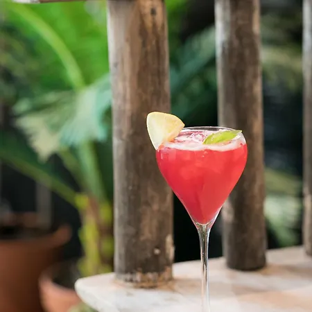 快乐文化凯爵酒店 酒店 斯特拉斯堡